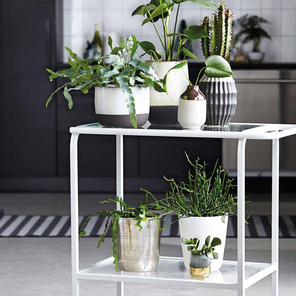 Vaso House Doctor beige e marrone