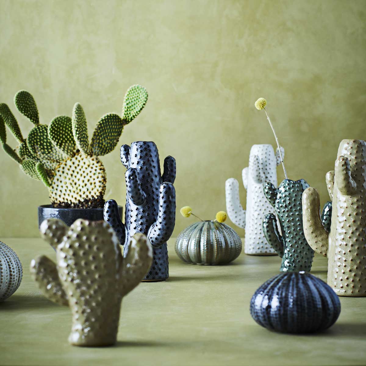 Madam Stoltz Vaso a Forma di Cactus in Ceramica Verde – DUST/ROSE